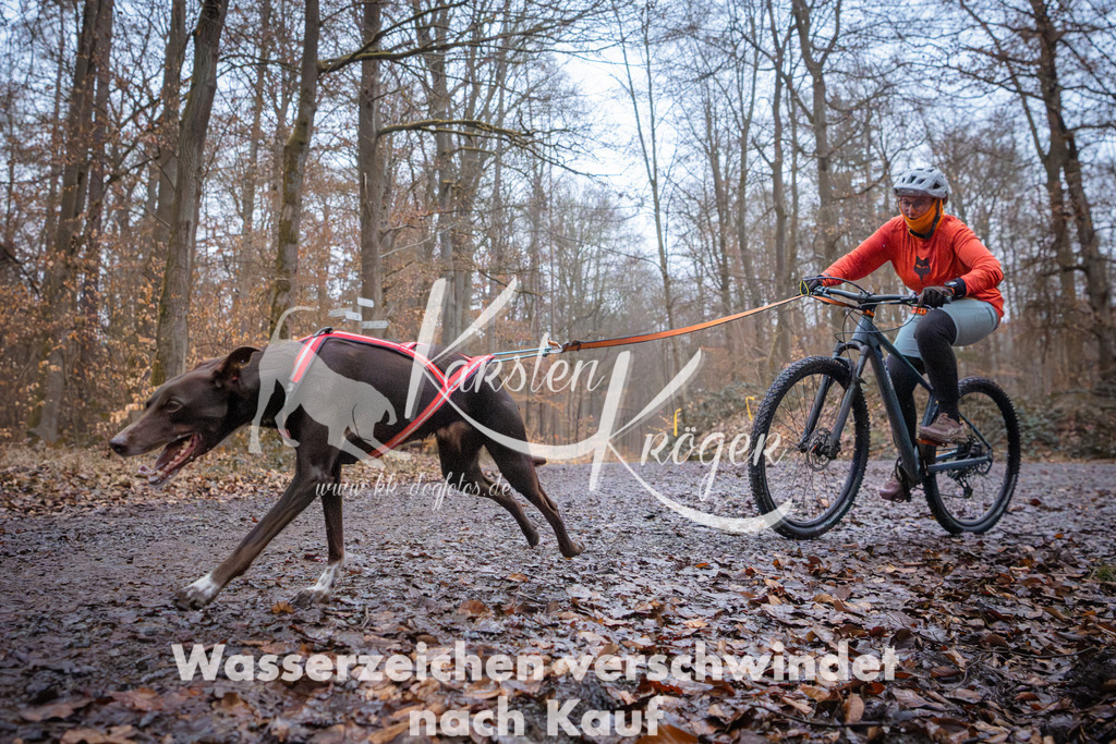 0828_ZZ94603 | kk-dogfotos