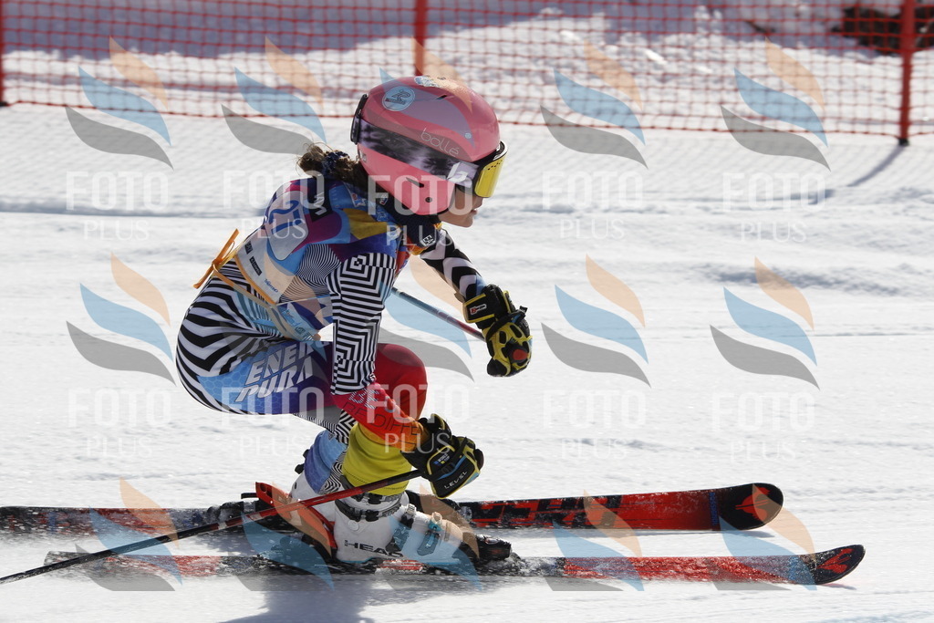 _U3G8991 | holidayphoto