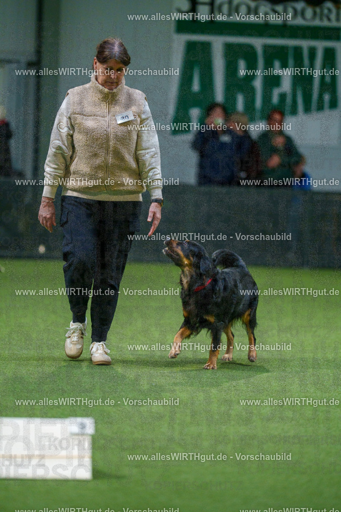 7R505415 | Professionelle Tierfotografie in Mönchengladbach von Daniel Wirth (allesWIRTHgut). Liebevolle & natürliche Bilder von Hunden & Katzen für unvergessliche Erinnerungen.