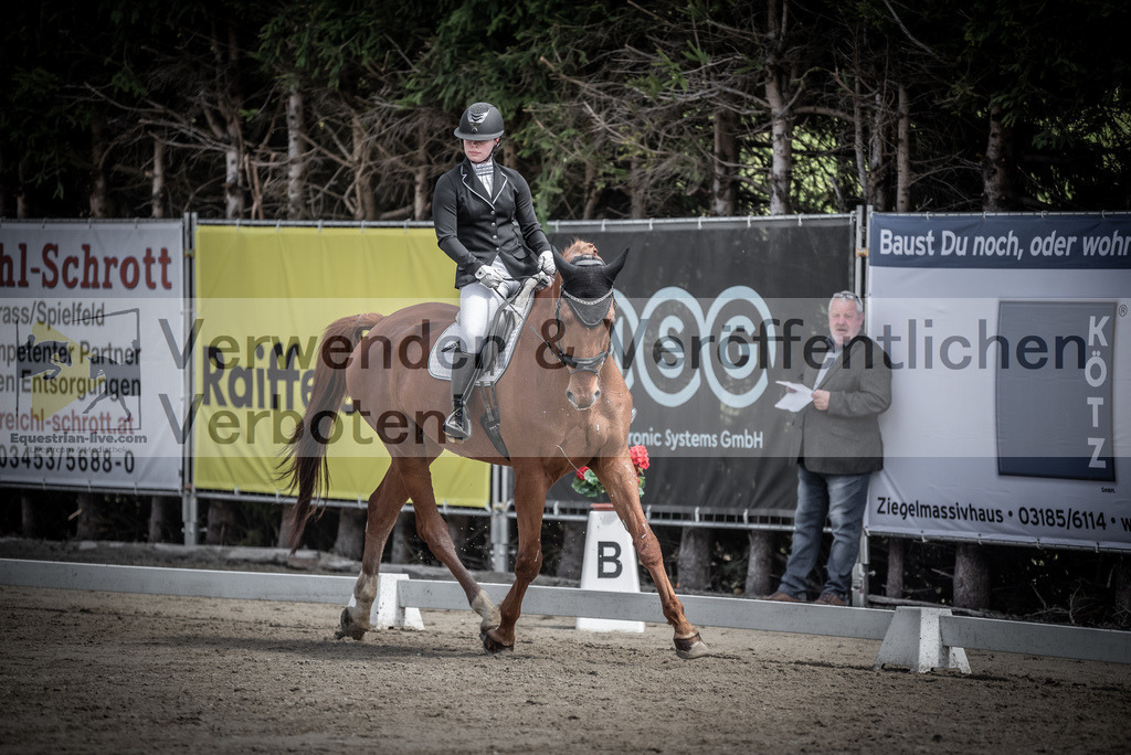 DSC_0762 | equestrian-live-com