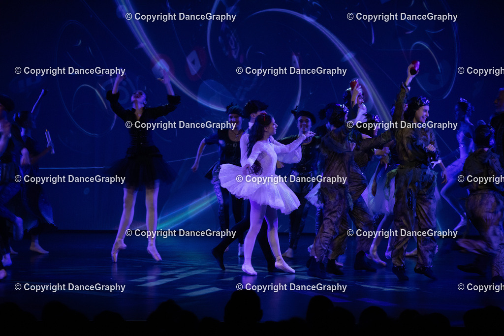 GPHY2414 | DanceGraphy - Realisiert mit Pictrs.com