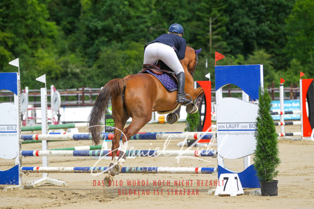 DKP41565 | Turniersportfotografie; Pferdefotografie; Dressurfotografie