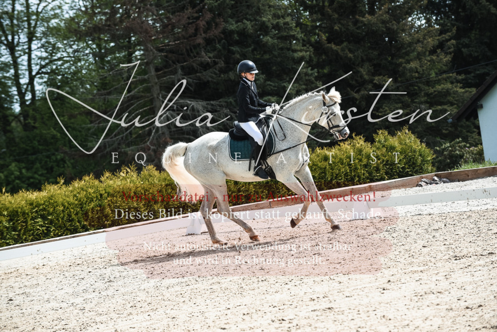 20230518_JK-Röhrsdorf-11-0617 | Pferde- und Turnierfotografie in Westsachsen. Pferdeportraits, Auftragszeichnungen und intuitive Kunst.