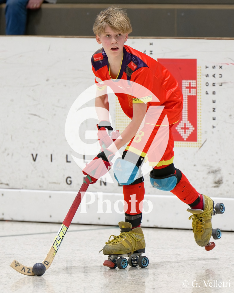 DSC_6421 | Velletri Photo