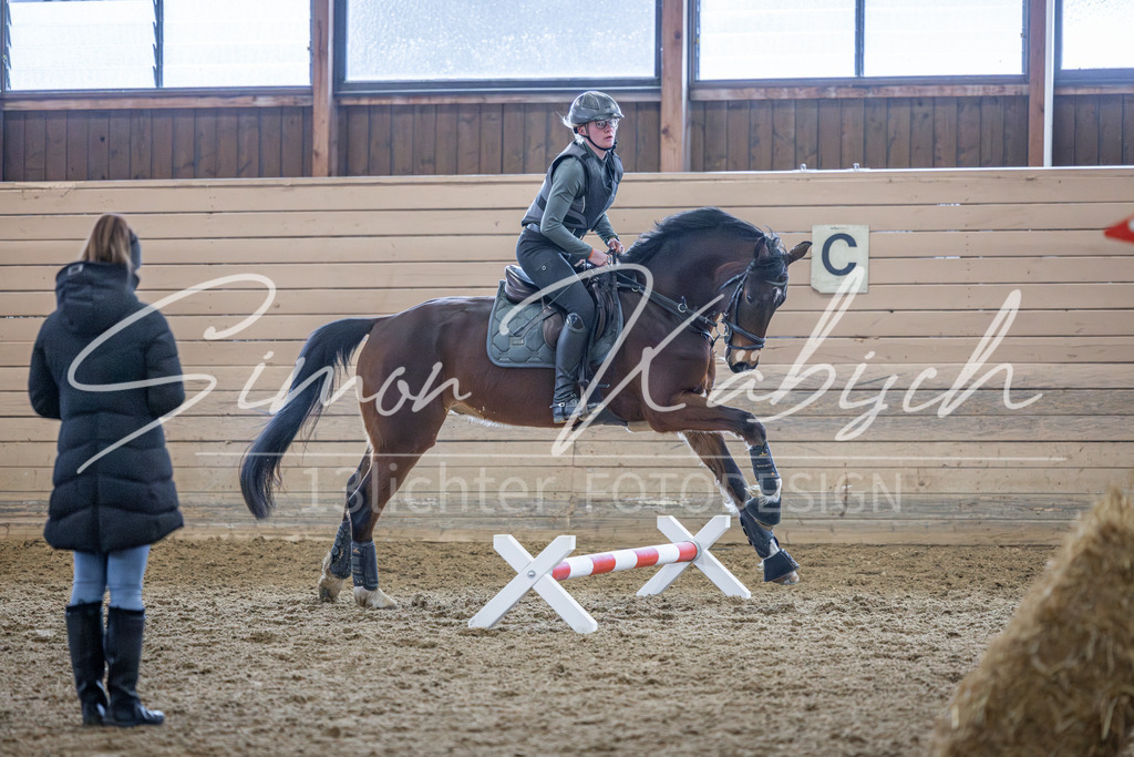 20260221-_3LI9863 | Tierfotografie Pferde, Hunde, Katzen, Haustiere.
Turnierfotografie Reitturniere, Reiten, Springreiten, Dressur in Hanau, dem Main-Kinzig-Kreis und dem Rhein-Main- Gebiet um Frankfurt