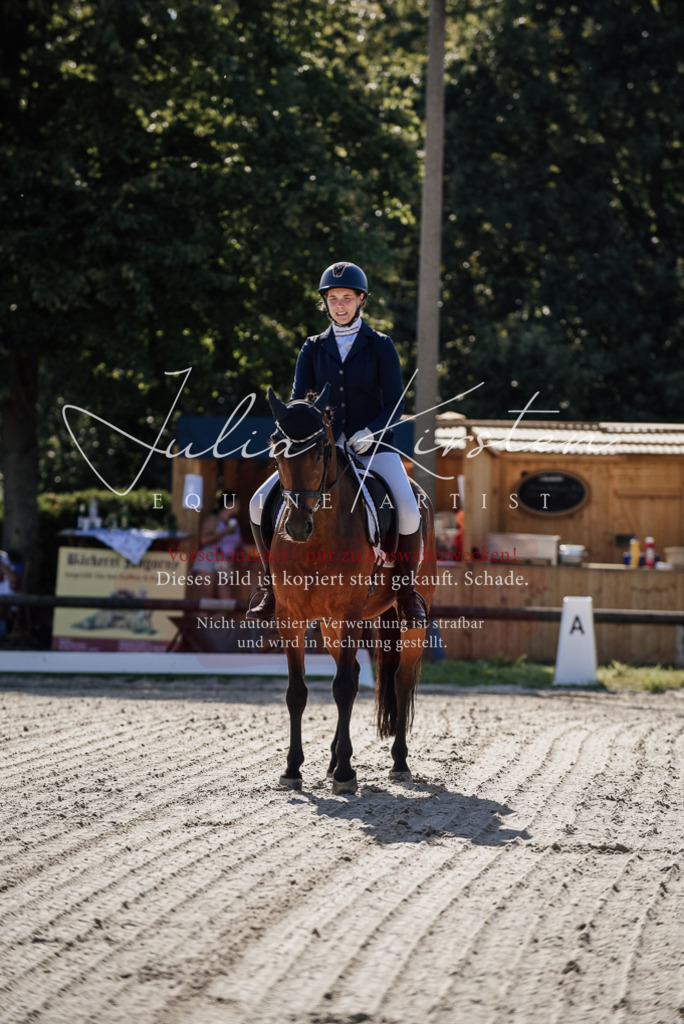 DSC_0259 | Pferde- und Turnierfotografie in Westsachsen. Pferdeportraits, Auftragszeichnungen und intuitive Kunst.
