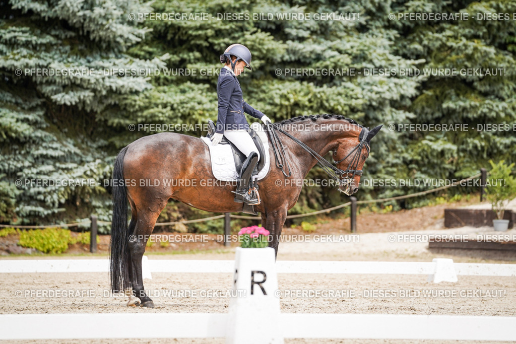 DSC05638 | Pferdegrafie