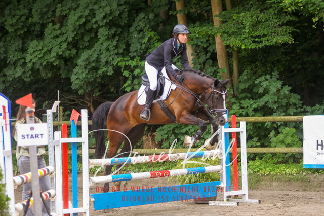 DKP44945 | Turnierfotos kaufen im Webshop von Daniel Kuhl Photography – entdecke professionelle Reitsportfotos aus Turnieren & Events. Hochwertige Turnierbilder online bestellen & sichern. Jetzt Fotos von Reitsportturnieren kaufen!