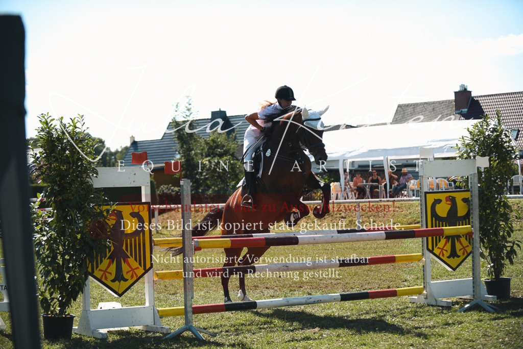 DSC_7188 | Pferde- und Turnierfotografie in Westsachsen. Pferdeportraits, Auftragszeichnungen und intuitive Kunst.