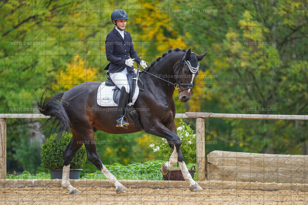 20221007-FAH09775 | Diessen am Ammersee, 2022, Dressur- und Springturnier, Reitsportbilder, Turnierfotografen Bayern, Pferdefotografen, Fotoagentur Herrmann, Turnierbilder