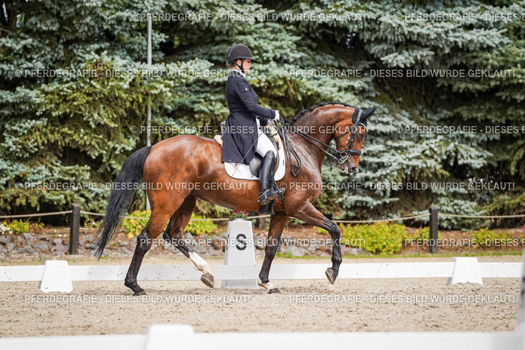 DSC06559 | Pferdegrafie