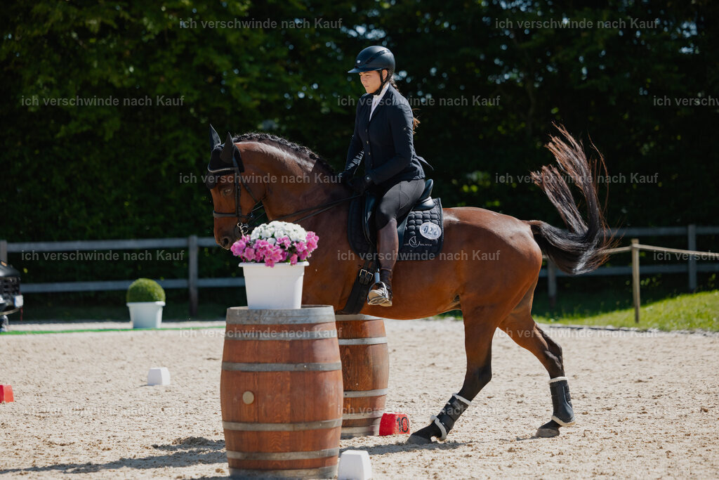 Nadine22_FHC2025-69 | working equitationturnier fotograf videograf stoibphotography marixx film working equitation deutschland reitsport turnierfotografie eventfotografie equestrian events