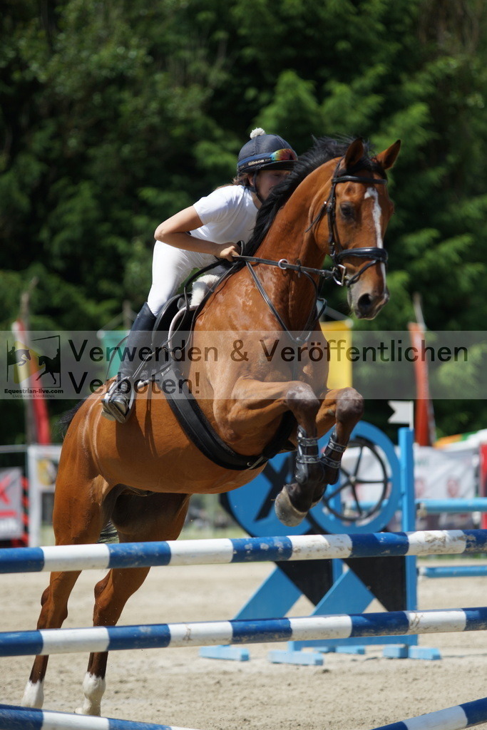 DSC00608 | equestrian-live-com