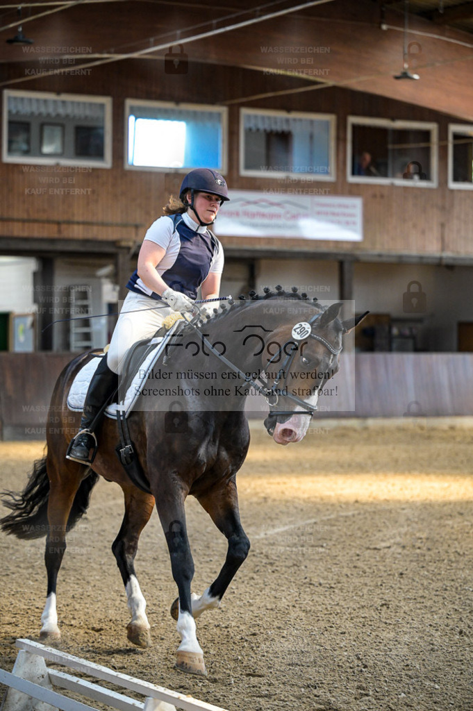Reitturnier Voxtrup | Entdecke hochwertige Reitturnierfotos von Foto Oger. Professionell, emotional und authentisch – jetzt Lieblingsmomente im Shop bestellen. - Realisiert mit Pictrs.com