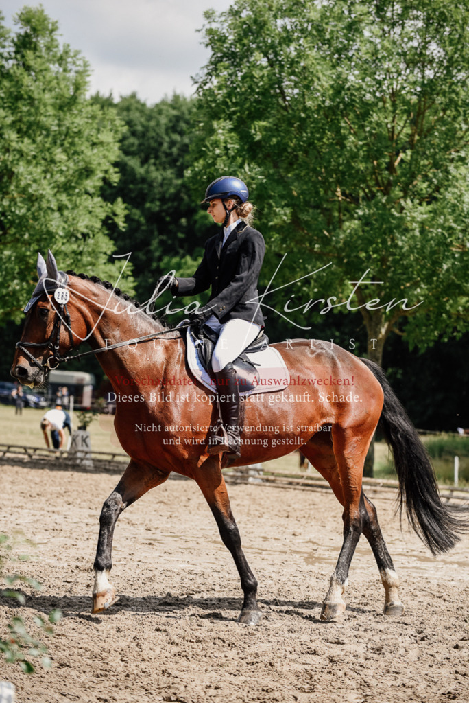 DSC_1122 | Pferde- und Turnierfotografie in Westsachsen. Pferdeportraits, Auftragszeichnungen und intuitive Kunst.