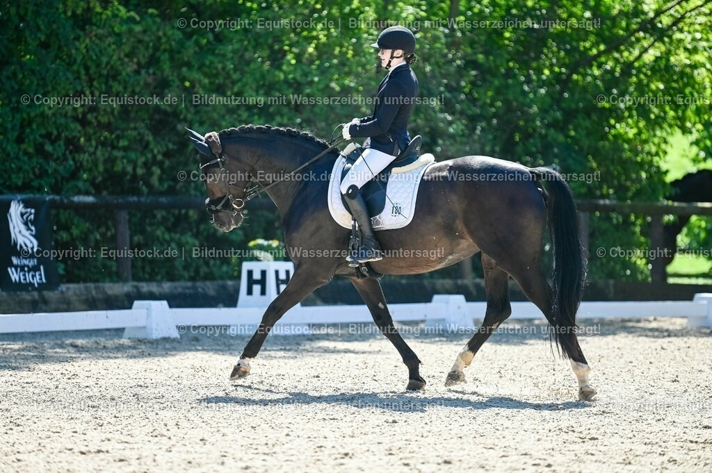 20230908_06_Dressur-L-Trense_0563 | equistock