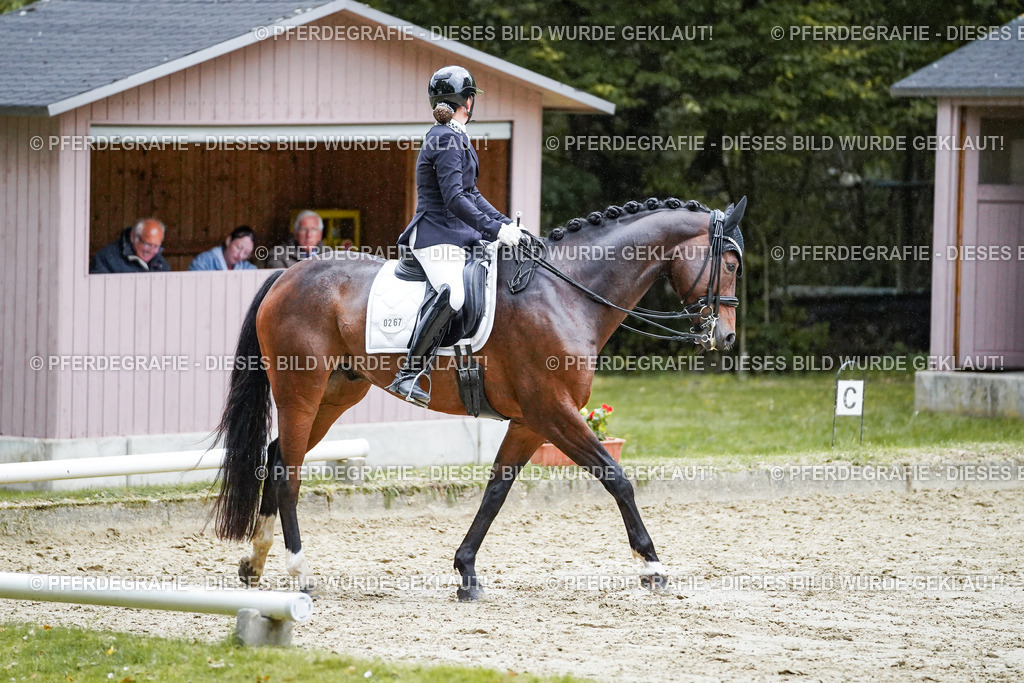 DSC00353 | Pferdegrafie