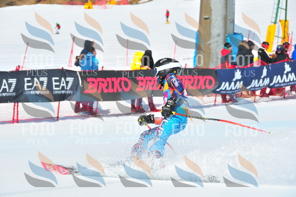 DSC_5022 | holidayphoto