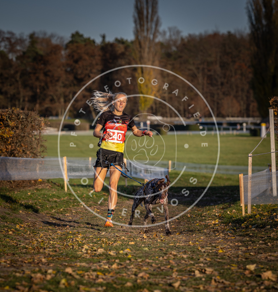 CaniXpix_DV3A3627 | Hundefotografie, Tierfotograf, Pfotenfotografie, Fotoshooting Hund, Hunde Portrait, Hundesport, Hundeportraits, Heideshooting, Hunde, Sportfotograf, Hundefotograf, Turnierhundsport, THS,  - Realisiert mit Pictrs.com
