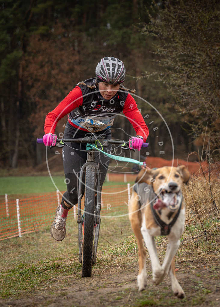 0L8A9046 | Hundefotografie, Tierfotograf, Pfotenfotografie, Fotoshooting Hund, Hunde Portrait, Hundesport, Hundeportraits, Heideshooting, Hunde, Sportfotograf, Hundefotograf, Turnierhundsport, THS,  - Realisiert mit Pictrs.com