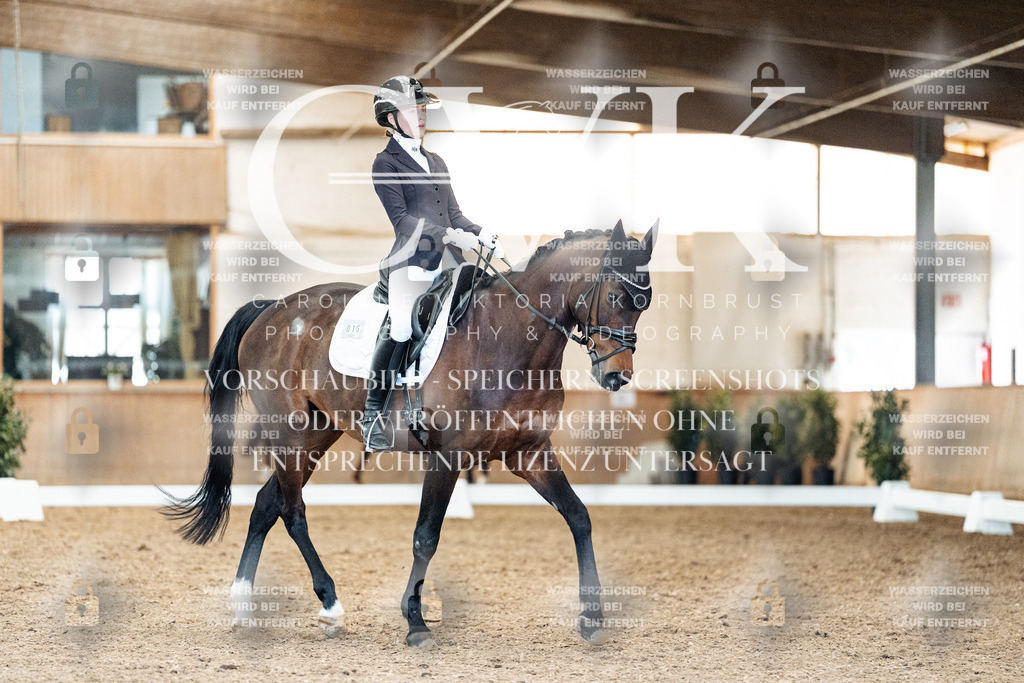 CK909230 | Turnierfotografie Pferdefotografie Trier Rheinland-Pfalz Pferdesport Reitsport Tierfotografie Sportfotografie Pferdevideo Pferdevideografie Equestrianvideography equestrianphotography  - Realisiert mit Pictrs.com