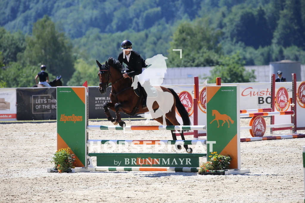 DL2Q3448 | Willkommen bei Brunnmayr - Design & Fotografie – Ihrem Spezialisten für Reitturniere und Pferdeveranstaltungen in Oberösterreich, Salzburg und Bayern! Seit über 17 Jahren sind wir leidenschaftlich dabei.