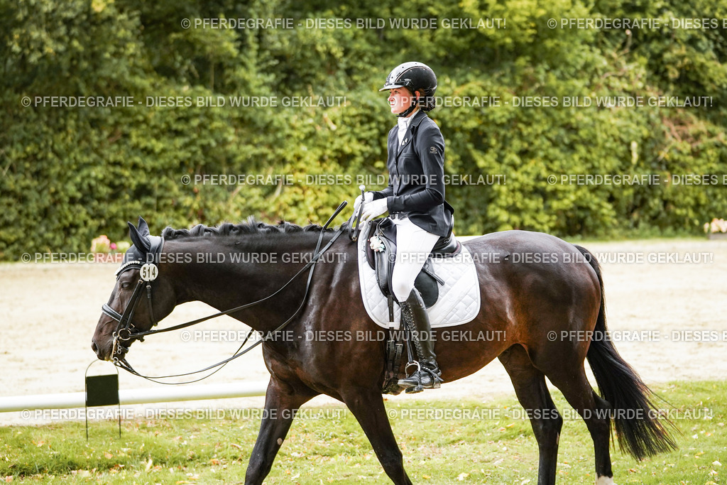 DSC04035 | Pferdegrafie