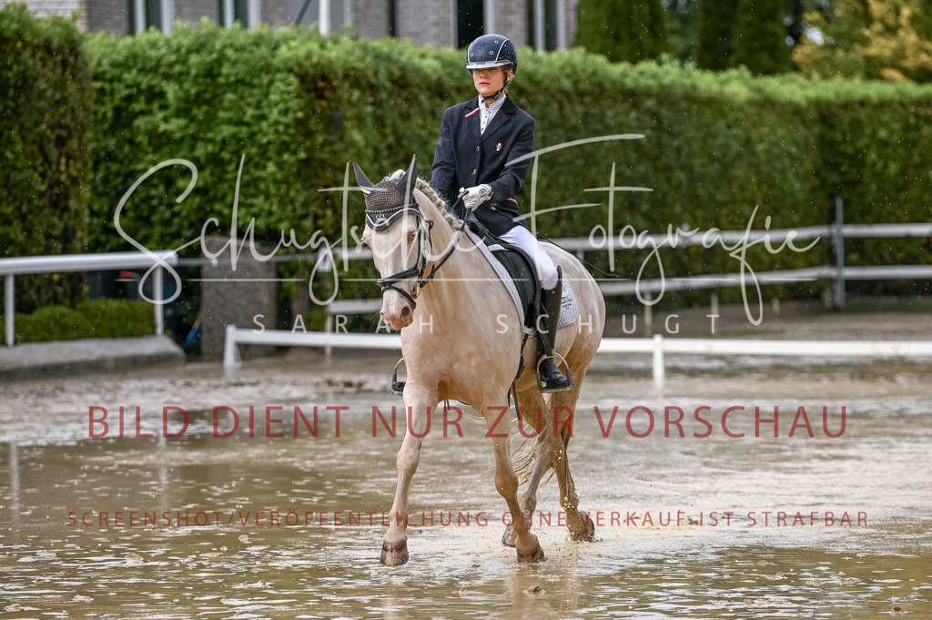 Schugtsche-Aluta25-54.Dressurprf.L1Trense-130 | Schugtsche Fotografie - Realizzato con Pictrs.com