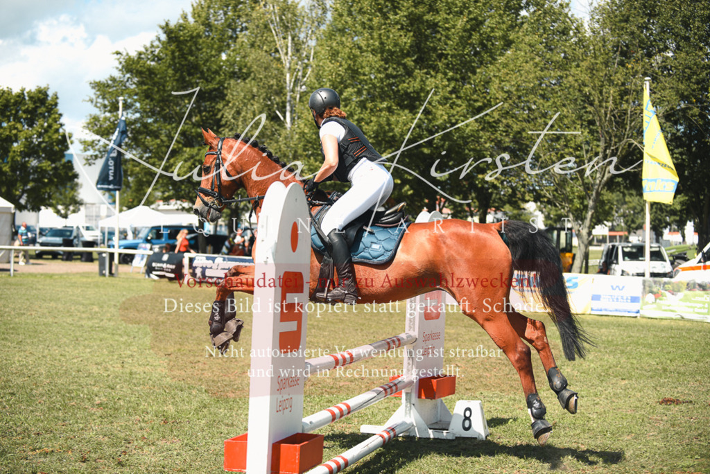 DSC_6605 | Pferde- und Turnierfotografie in Westsachsen. Pferdeportraits, Auftragszeichnungen und intuitive Kunst.