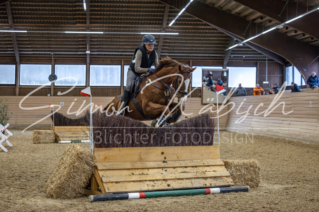 20260222-_3LI1288 | Tierfotografie Pferde, Hunde, Katzen, Haustiere.
Turnierfotografie Reitturniere, Reiten, Springreiten, Dressur in Hanau, dem Main-Kinzig-Kreis und dem Rhein-Main- Gebiet um Frankfurt