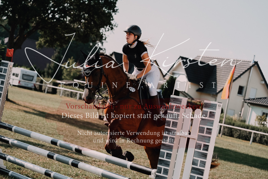 DSC_4672 | Pferde- und Turnierfotografie in Westsachsen. Pferdeportraits, Auftragszeichnungen und intuitive Kunst.