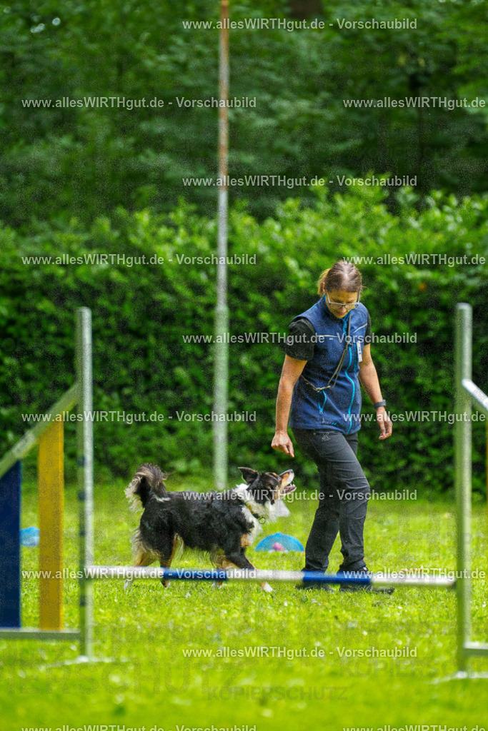@allesWIRTHgut_Tierfotografie - www.allesWIRTHgut.de - 091717-7R506847 | Professionelle Tierfotografie in Mönchengladbach von Daniel Wirth (allesWIRTHgut). Liebevolle & natürliche Bilder von Hunden & Katzen für unvergessliche Erinnerungen.