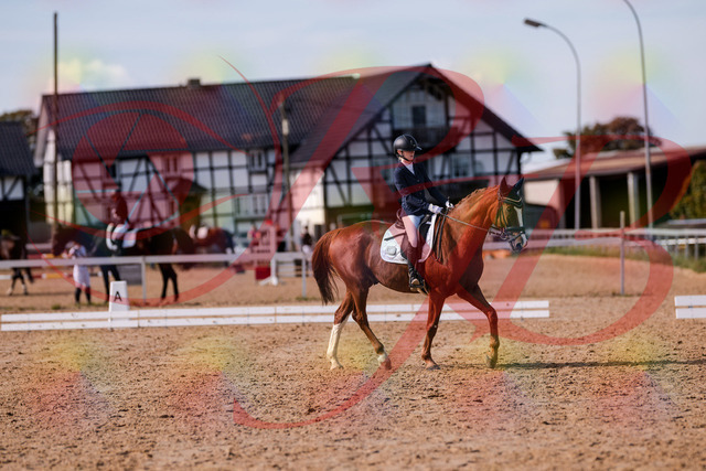 2026_10_03_Siefer-Hof_133156_Z81_87390880 | Professionelle Reitsport-, Turnier- und Eventfotografie von Robert Broda. Galerien mit ausgewählten und bearbeiteten Bildern direkt online ansehen und bestellen.