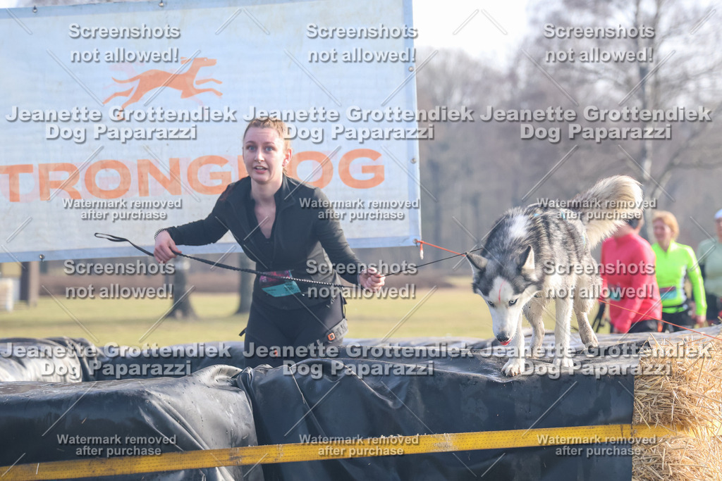 Dog Paparazzi - Strongdog North Mrz26-472 | Dog Paparazzi Jeanette Grottendiek Fotografie & Videografie - Realisiert mit Pictrs.com