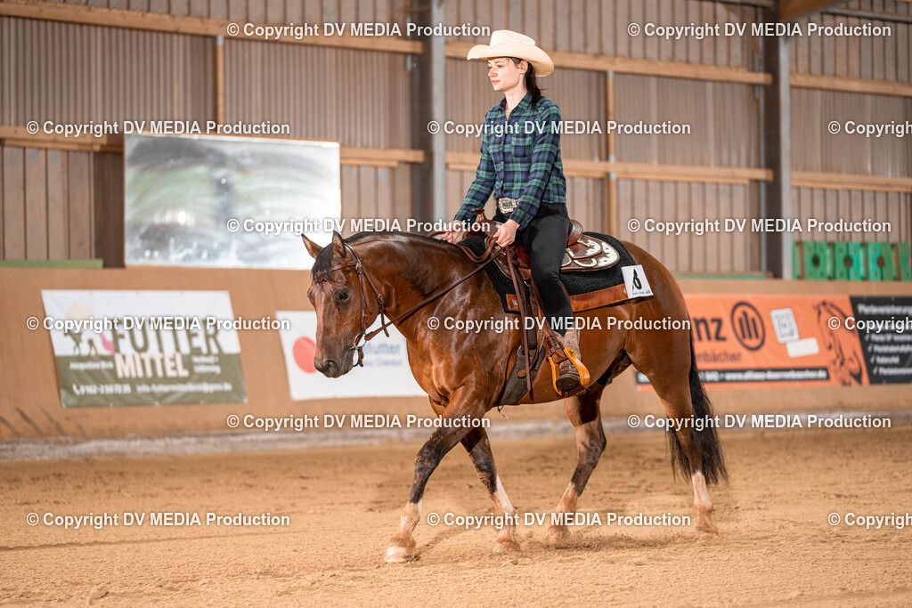 Losheim Tag 1-489 | dv-media-shop - Realisiert mit Pictrs.com