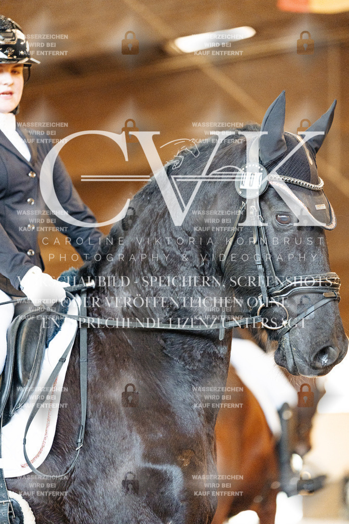 CK906457 | Turnierfotografie Pferdefotografie Trier Rheinland-Pfalz Pferdesport Reitsport Tierfotografie Sportfotografie Pferdevideo Pferdevideografie Equestrianvideography equestrianphotography  - Realisiert mit Pictrs.com