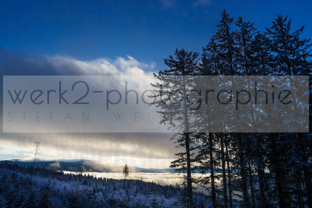 DP ARBER | 6. DSV JOKA Deutschlandpokal Biathlon im ARBER Hohenzollern Skistadion vom 23. - 25. Februar 2024
