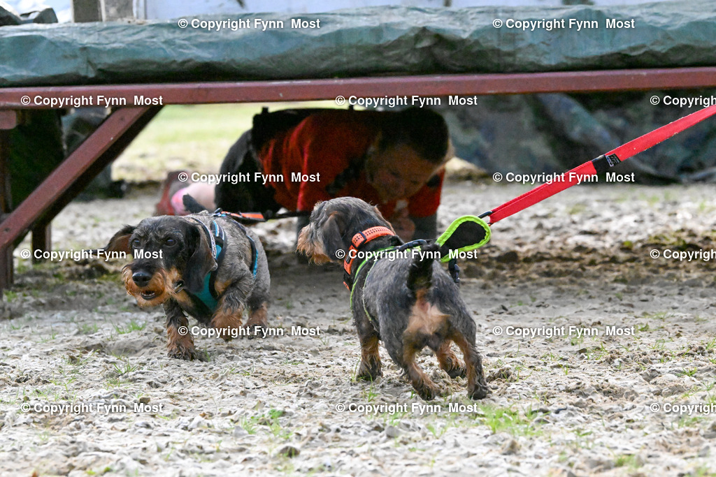 DSC_2779 | Hallo und herzlich Willkommen auf meiner Shop-Seite Fynn Most.

Ich wünsche Dir viel Spaß beim stöbern durch die Bilder, wenn Du Fragen hast oder Bilder vermisst, kannst du mir gerne eine Nachricht schreiben. - Realisiert mit Pictrs.com