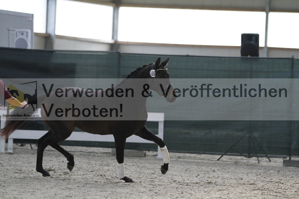 _MG_9421 | equestrian-live-com