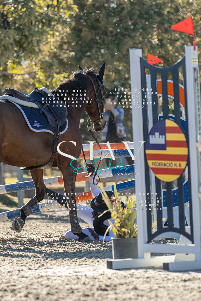 IMG_2128 | s-jay-photography - Realisiert mit Pictrs.com