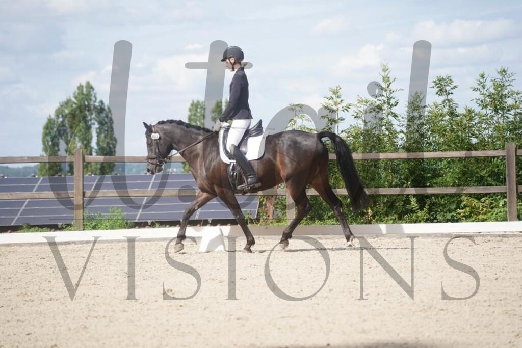 tgbhsamstag (947) | d.tail Visions - Shop - Realisiert mit Pictrs.com