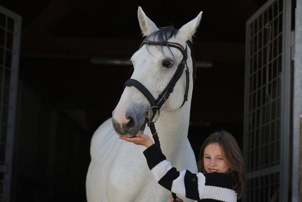 0P6A9023 | Willkommen bei Brunnmayr - Design & Fotografie – Ihrem Spezialisten für Reitturniere und Pferdeveranstaltungen in Oberösterreich, Salzburg und Bayern! Seit über 17 Jahren sind wir leidenschaftlich dabei.