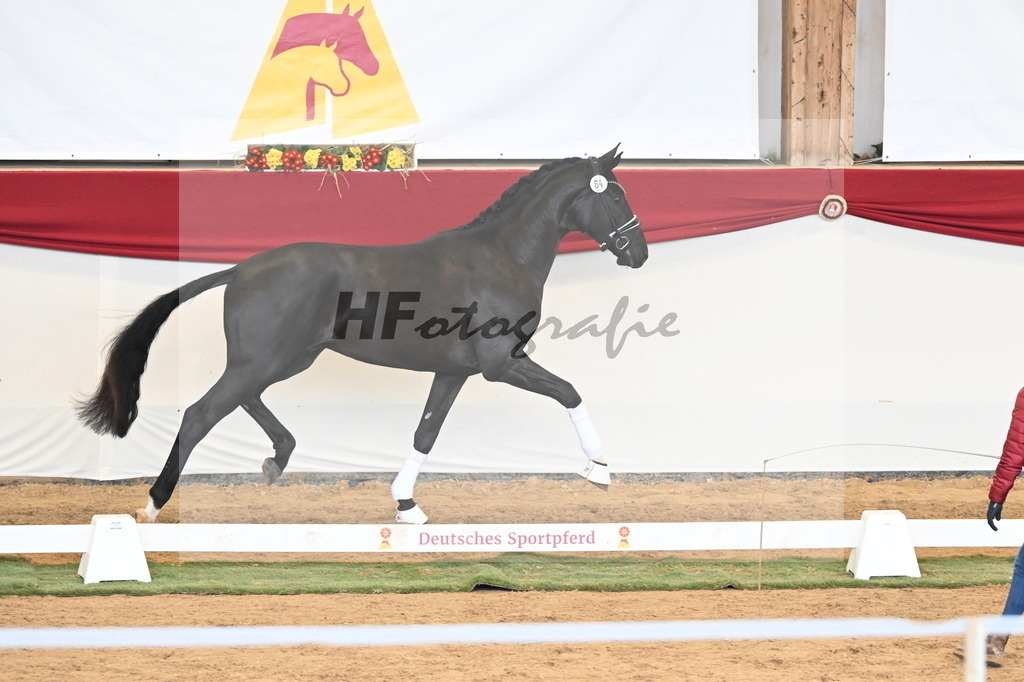 Kat.-Nr. 64 v. Fürst Samarant_Beckmann_3260932 | hf-fotografie - Realisiert mit Pictrs.com