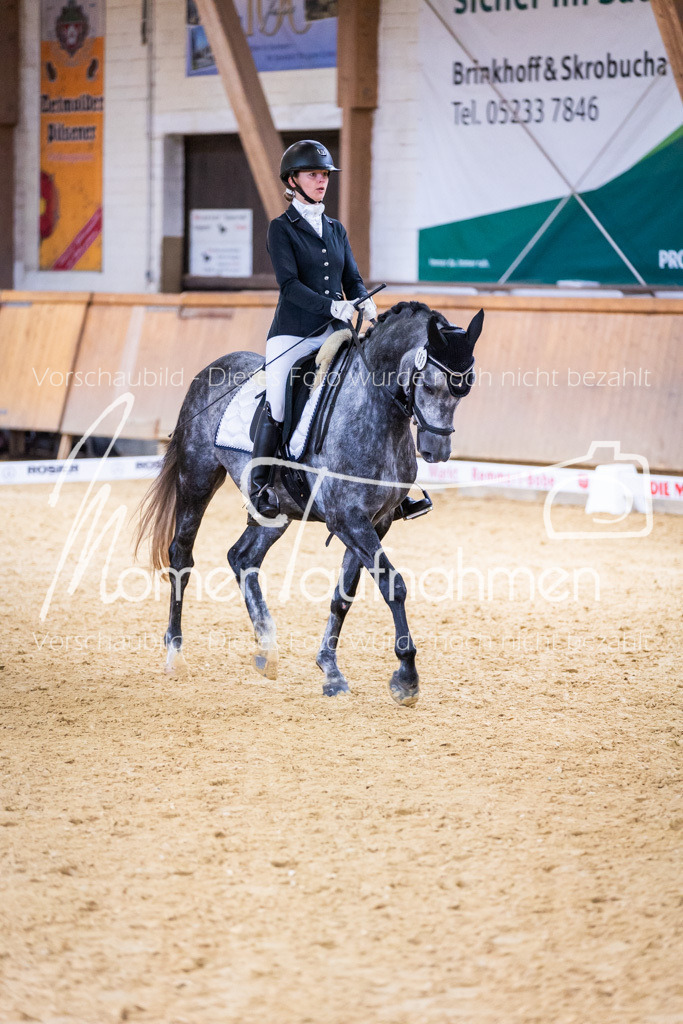 Sth-A-Dre-2St-196 | MomenTaufnahmen Pferdesportfotos