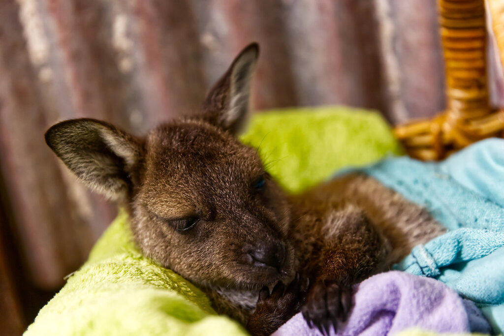 1H5A6094a | ansichtssache