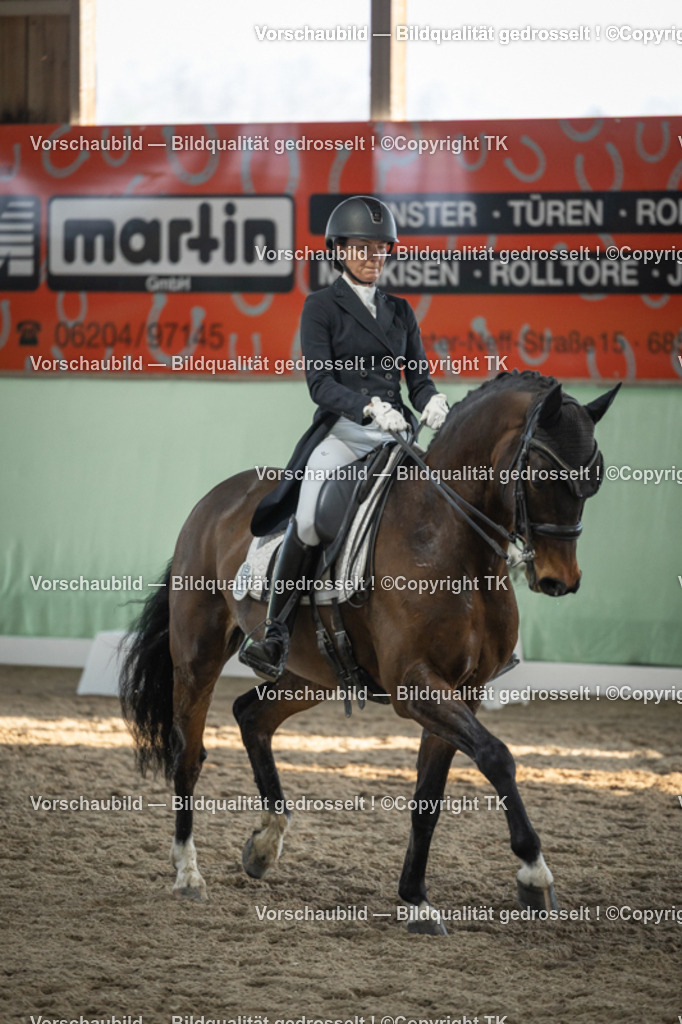 _D5A0718 | Emotionale Pferde- & People-Fotografie rund um Heidelberg, Leimen & Umgebung. Natürliche Fotos von Pferd, Mensch & Familie. Jetzt Termin sichern!