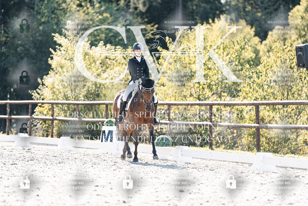 CK906197 | Turnierfotografie Pferdefotografie Trier Rheinland-Pfalz Pferdesport Reitsport Tierfotografie Sportfotografie Pferdevideo Pferdevideografie Equestrianvideography equestrianphotography  - Realisiert mit Pictrs.com