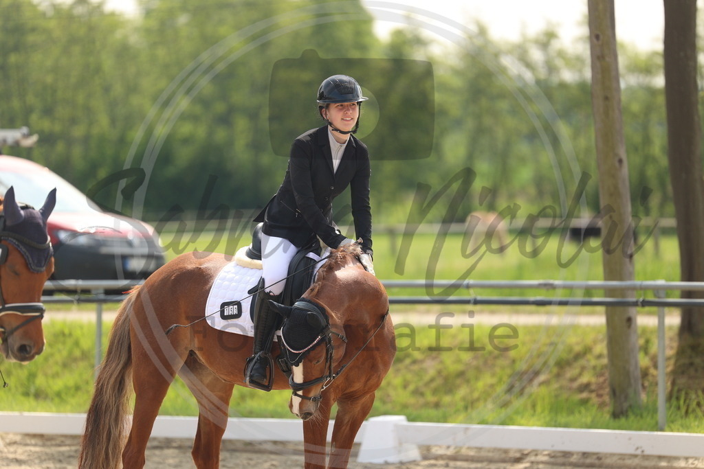 994A6775 | sabrinanicolaifotografie - Realisiert mit Pictrs.com