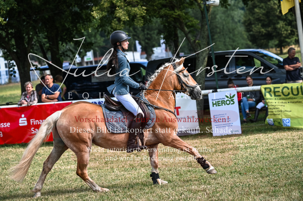 DSC_7925 | Pferde- und Turnierfotografie in Westsachsen. Pferdeportraits, Auftragszeichnungen und intuitive Kunst.