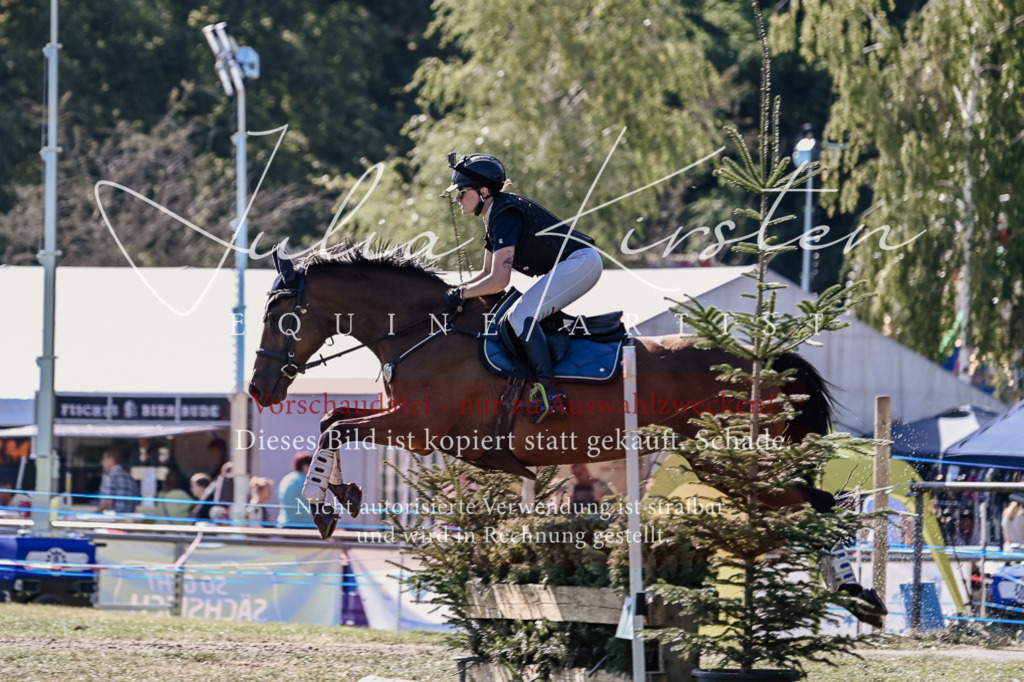 DSC_3391 | Pferde- und Turnierfotografie in Westsachsen. Pferdeportraits, Auftragszeichnungen und intuitive Kunst.